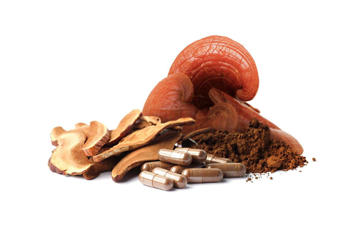 Reishi-Pilz, Kapseln und Extrakt